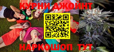 сатива Бузулук