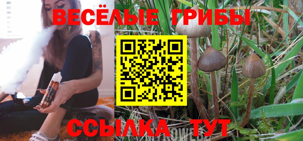 Галлюциногенные грибы Cubensis  Вход с VPN  Тосно 