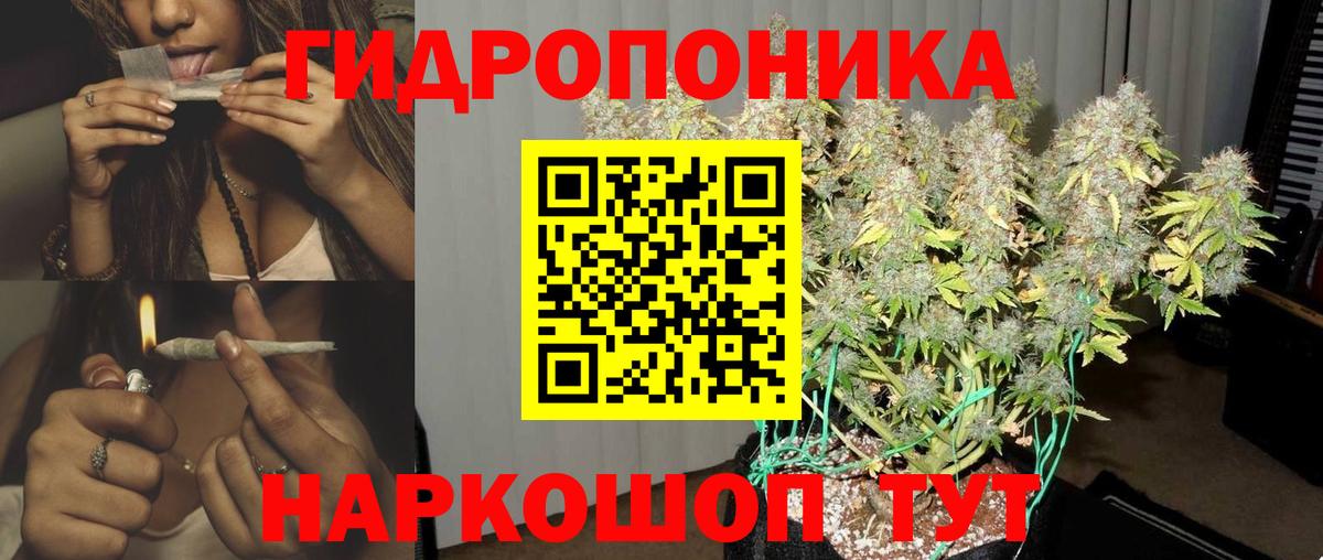 Каннабис VHQ  Вход с VPN  Тосно  Шишки марихуана VHQ 